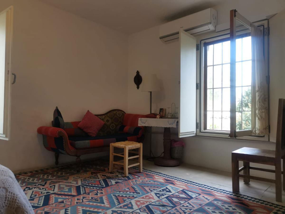 Sunflower studio in a Guesthouse – Jbeil