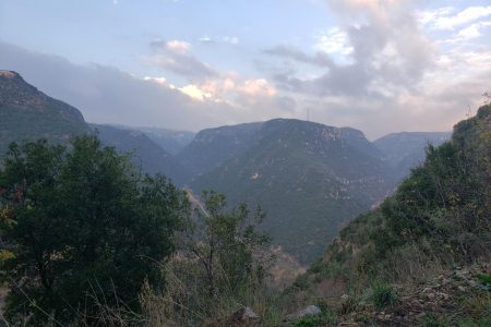 Incredible drive in Deir Chamra