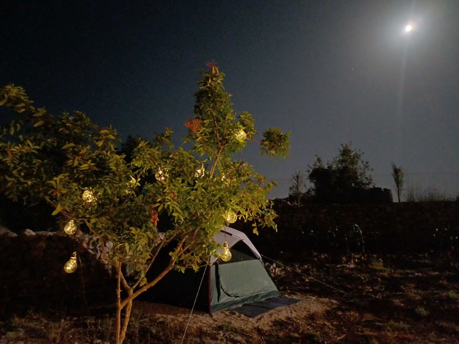 Tent for 3