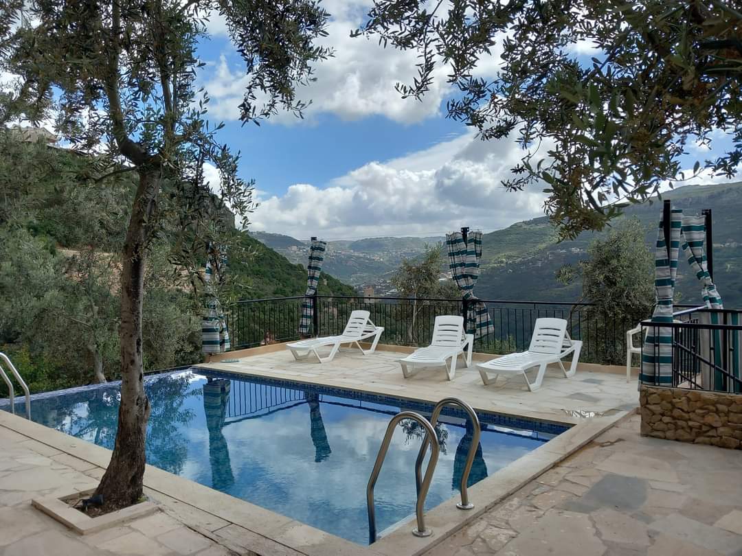 Chalet with Pool – Baisour, Aley